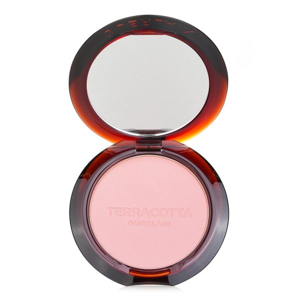 GUERLAIN TERRACOTTA BLUSH THE NATURAL HEALTHY GLOW POWDER BLUSH