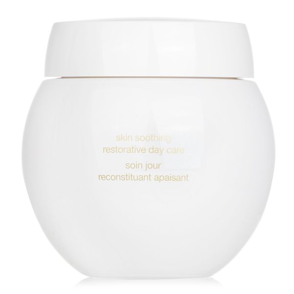 helena-rubinstein-re-plasty-age-recovery-day-cream-50ml_-1.8oz-3 HELENA RUBINSTEIN RE-PLASTY AGE RECOVERY DAY CREAM